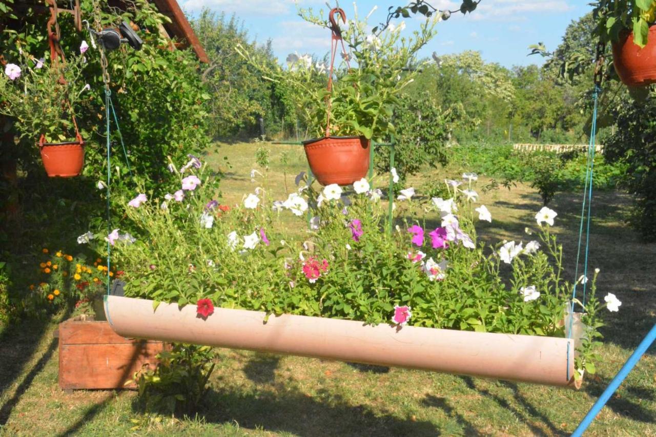 Gazdinstvo Tadic Guest House Niksic Ngoại thất bức ảnh