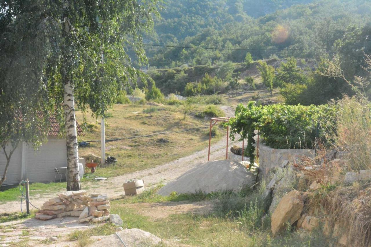 Gazdinstvo Tadic Guest House Niksic Ngoại thất bức ảnh